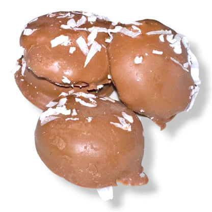 Rossi Shortbread Coconut and Milk chocolate covered cookies | biscoito Coco e chocolate ao leite